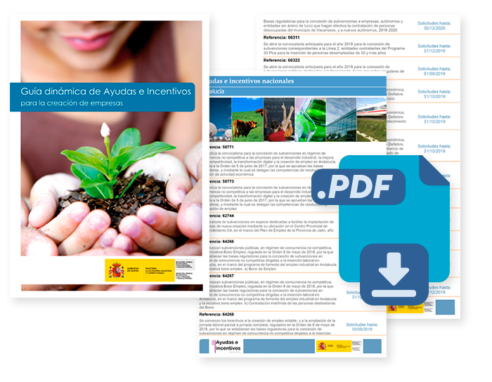 Portal Pyme: Guía Dinámica de Ayudas e Incentivos para empresas